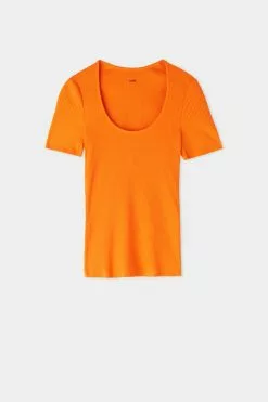 Tezenis Basic Rib Cotton Scoop Neck T-shirt 9 Tezenis Basic Rib Cotton Scoop Neck T-shirt -Outlet Tops Store 1MM1580322V F