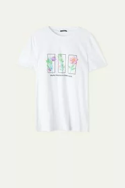 Tezenis Cotton Printed T-shirt -Outlet Tops Store 1MM199T260V F